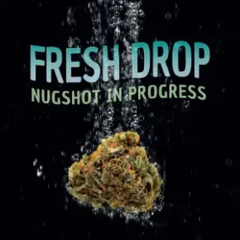 MAC Berry Bangers Pre Rolls